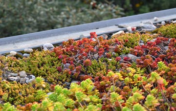 the cost of Taffs Well green roof installation