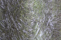 Taffs Well fibreglass roof work